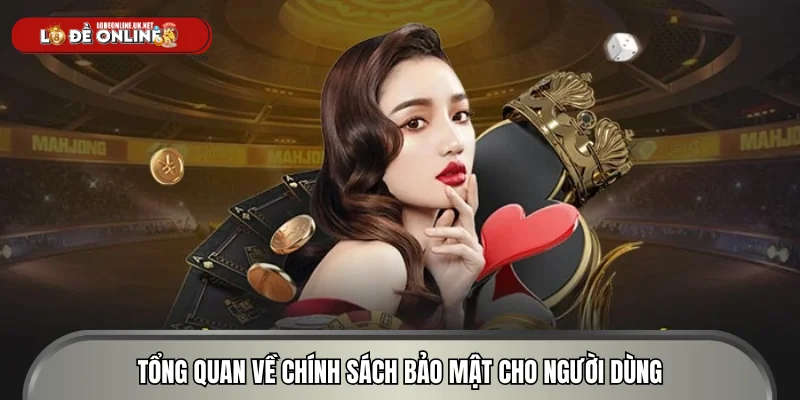 Tổng quan về chính sách bảo mật cho người dùng