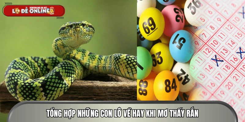 Những con số bạn có thể lựa chọn khi mơ ra rắn