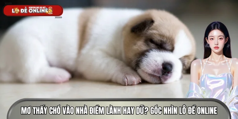 Mơ Thấy Chó Vào Nhà Điềm Lành Hay Dữ? Góc Nhìn Lô Đề Online