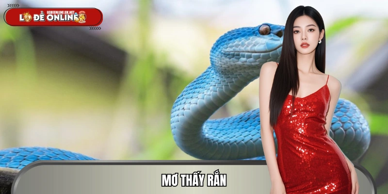 Mơ Thấy Rắn - Ý Nghĩa Tâm Linh Và Dàn Đề Đẹp 2026 