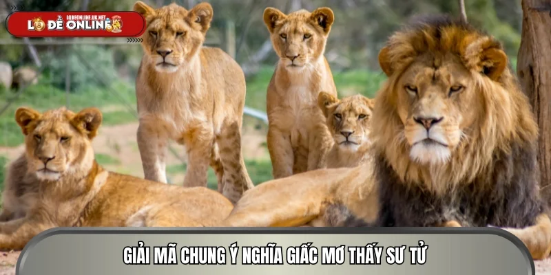 Giải mã chung ý nghĩa giấc mơ thấy sư tử