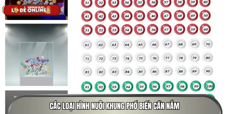 Các loại hình nuôi khung phổ biến cần nắm