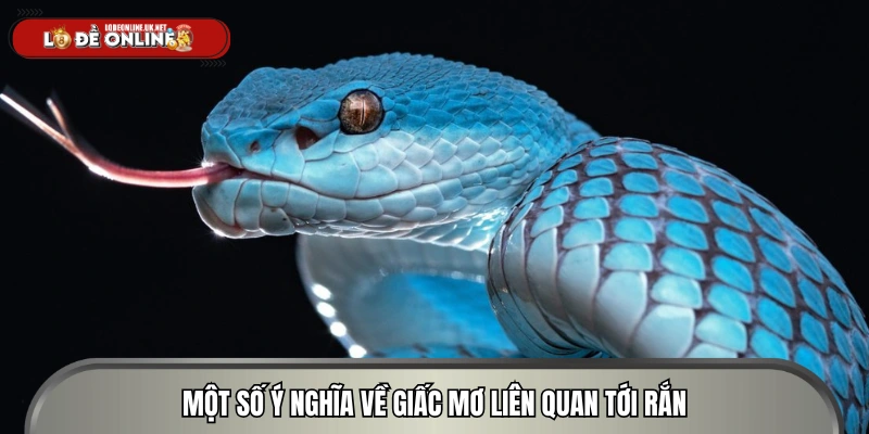 Một số lời giải thích về cơ chiêm bao thấy rắn